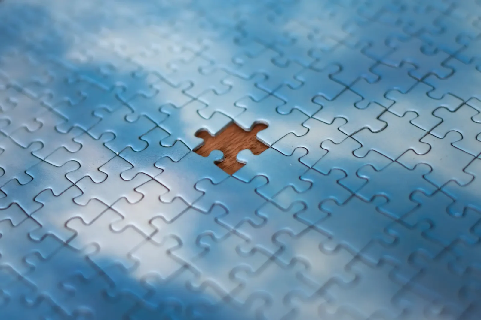 A missing puzzle piece in the center of a puzzle.